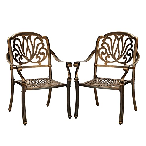 Livsip Outdoor Dining Chairs Cast Aluminium Patio Garden Furniture Set of 2 - Sunyee