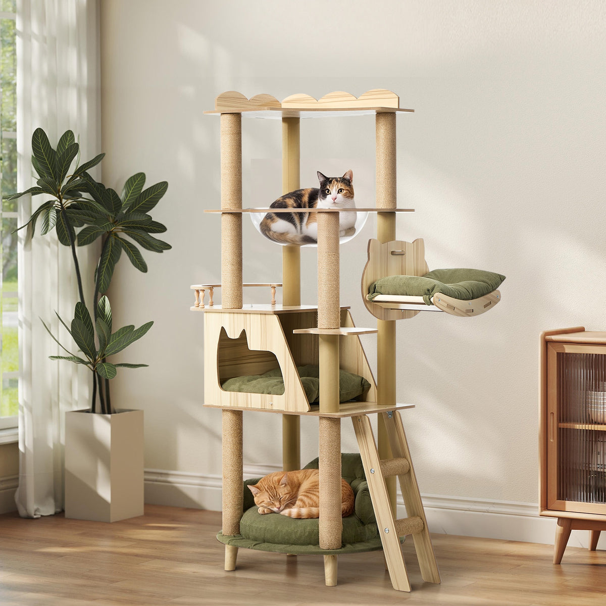Alopet 152cm Cat Tree Tower Sofa Bed Condo Clear Capsule Bowl Scratch Post
