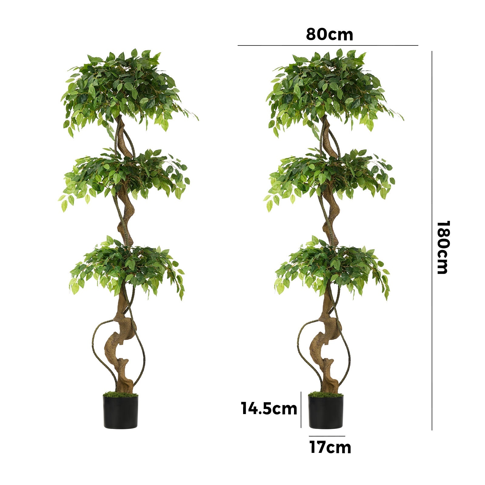 Livsip 2PCS Artificial Ficus Tree 180cm Large Twisted Ficus Faux Potted Plant - Sunyee