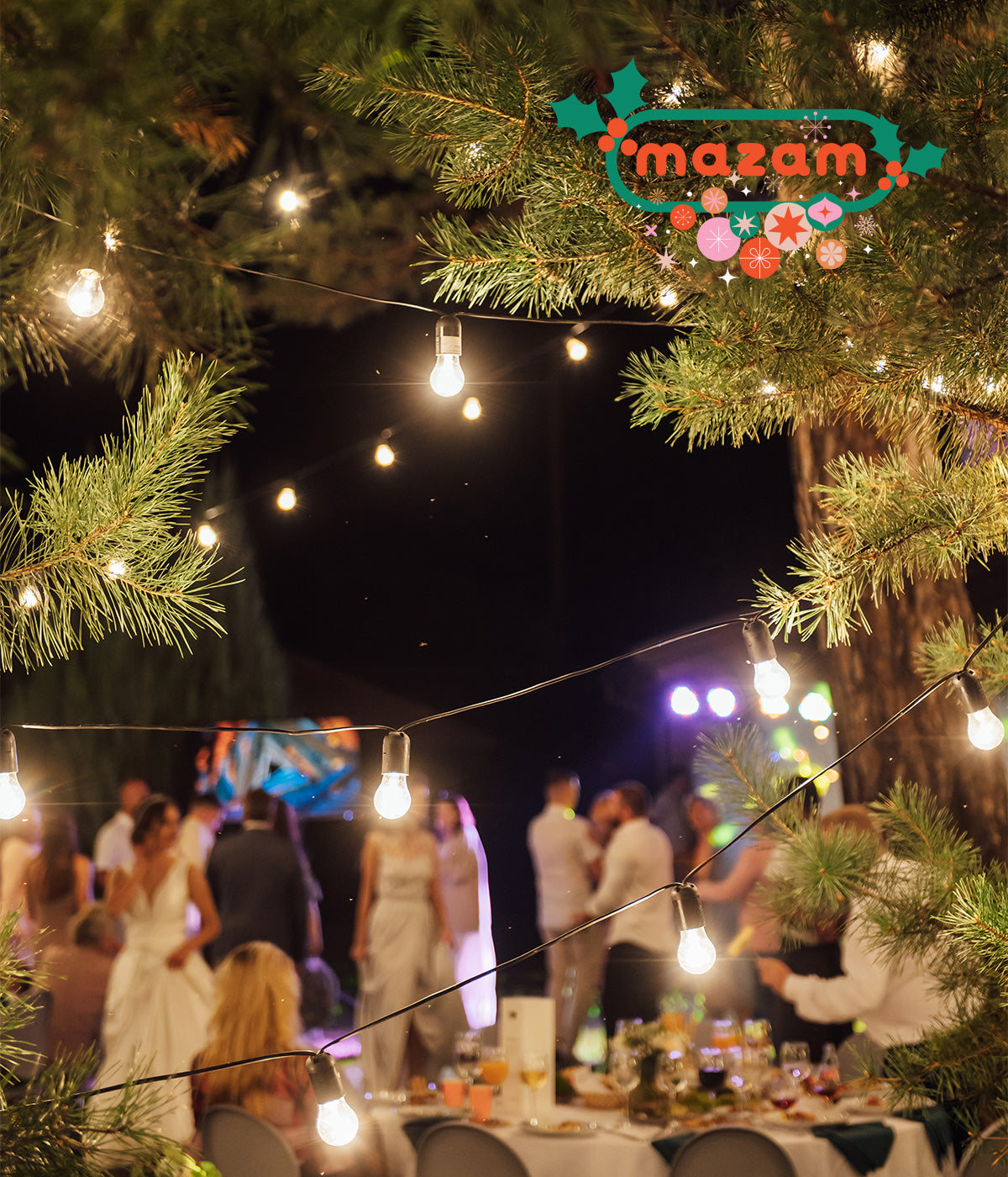 Mazam 50M Festoon String Lights LED Christmas Waterproof Wedding Party Outdoor - Sunyee