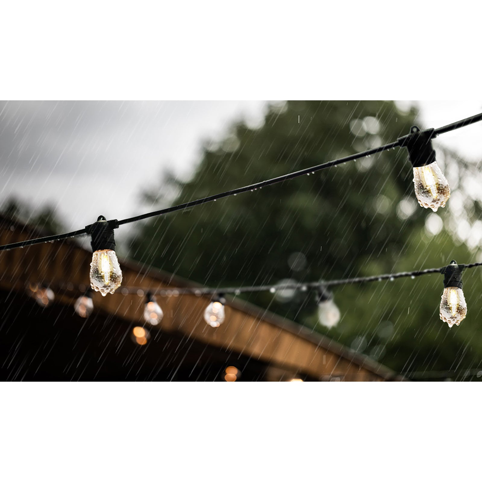 Mazam 50M LED Festoon Lights String Light Waterproof Wedding Party Outdoor - Sunyee
