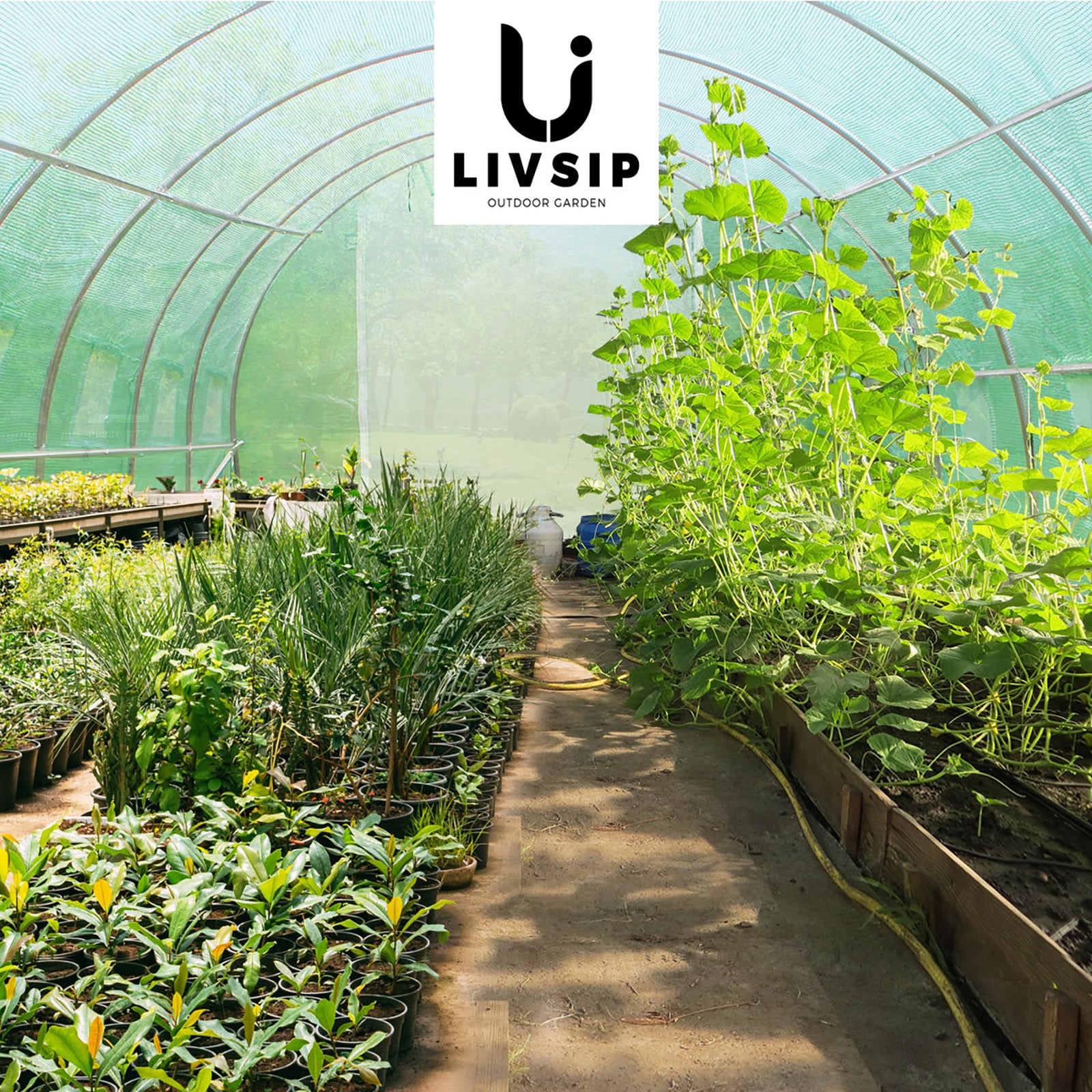 Livsip Greenhouse 6MX3M Walk in Green House Tunnel Plant Garden Shed Storage - Sunyee