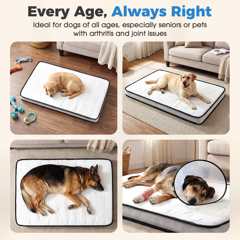 PlayPals Extra Large Dog Bed High-Density Foam Soft Breathable Fabric 132x70cm - Sunyee