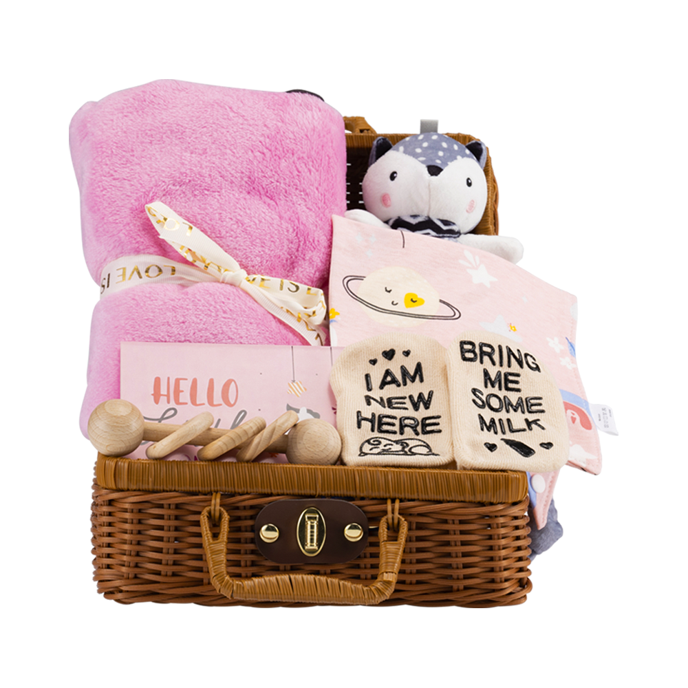 Playpals Newborn Baby Gift Set Flannel Banket/Rattle/Comforter/Bib/Socks Pink - Sunyee