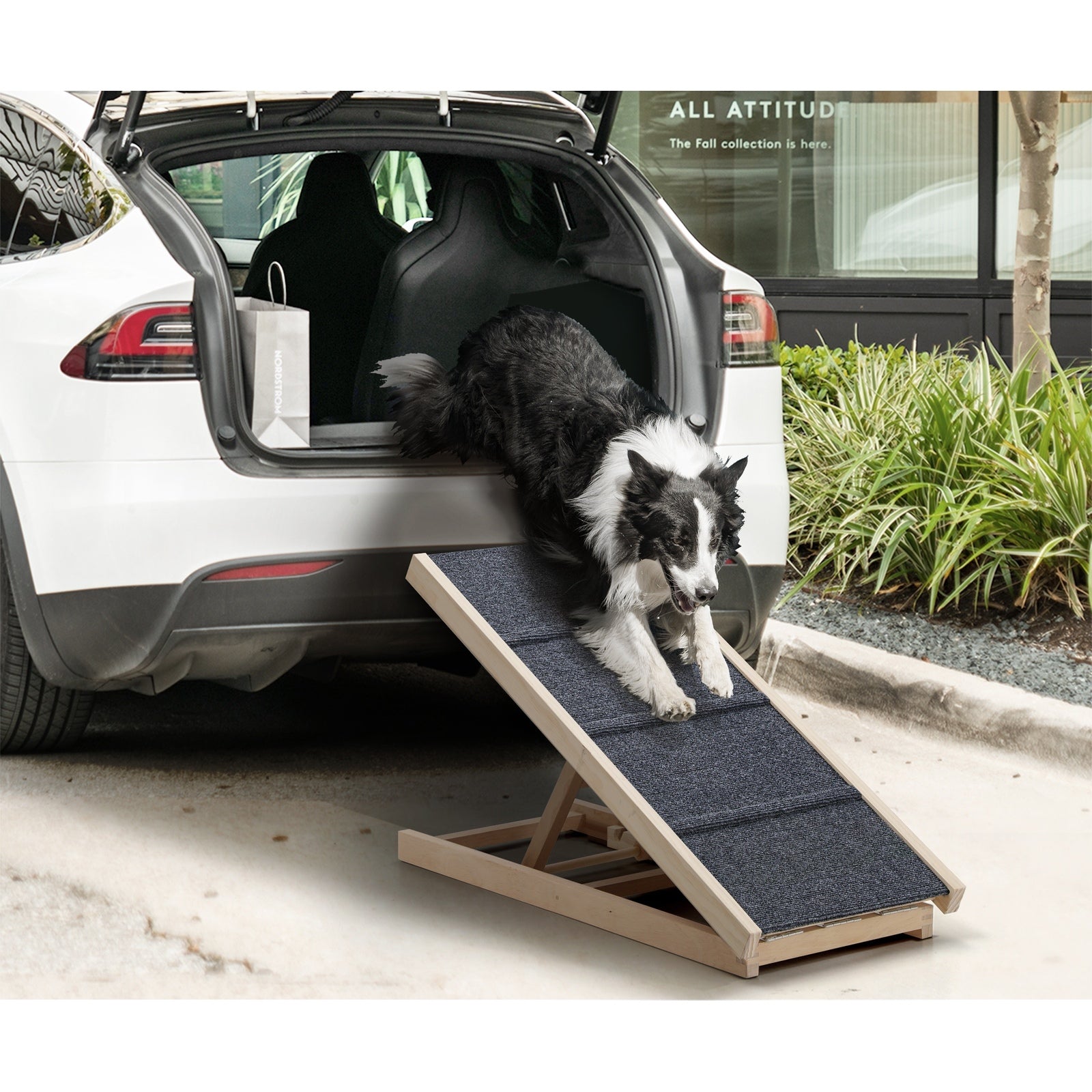 Alopet Dog Pet Ramp Adjustable Height Stairs Bed Sofa Car Foldable 70cm - Sunyee