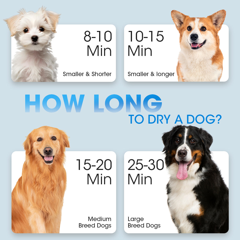 Petzly 3200W Pet Hair Dryer Blow Cat Dog Grooming Hairdryer Blower 3 Nozzles - Sunyee