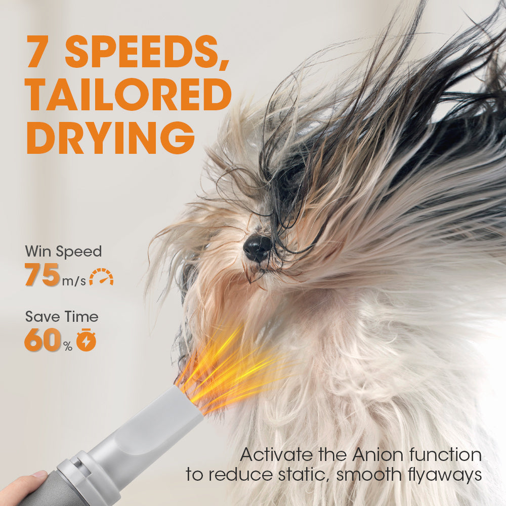 Petzly 3200W Pet Hair Dryer Blower LCD Touch Cat Dog Grooming 4 Nozzles - Sunyee