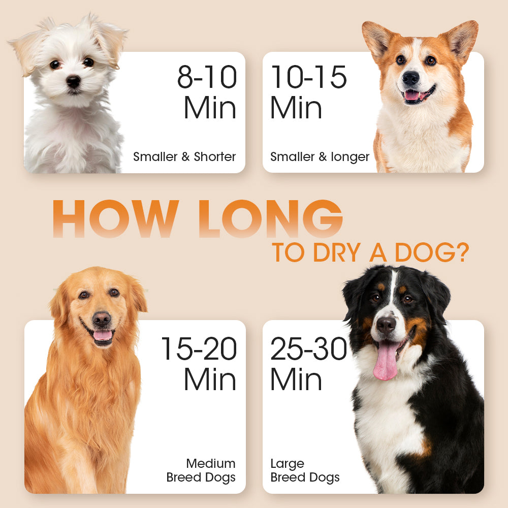 Petzly 3200W Pet Hair Dryer Blower LCD Touch Cat Dog Grooming 4 Nozzles - Sunyee