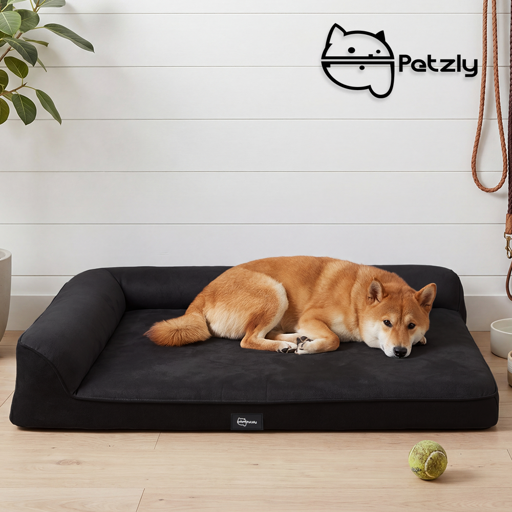 Petzly Dog Bed with L-Shaped Bolsters Removable Washable Cover Memory Foam