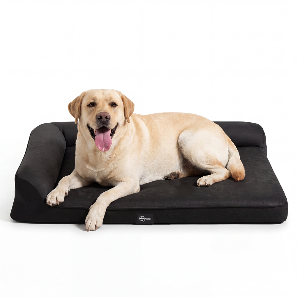 Petzly Dog Bed with L-Shaped Bolsters Removable Washable Cover Memory Foam