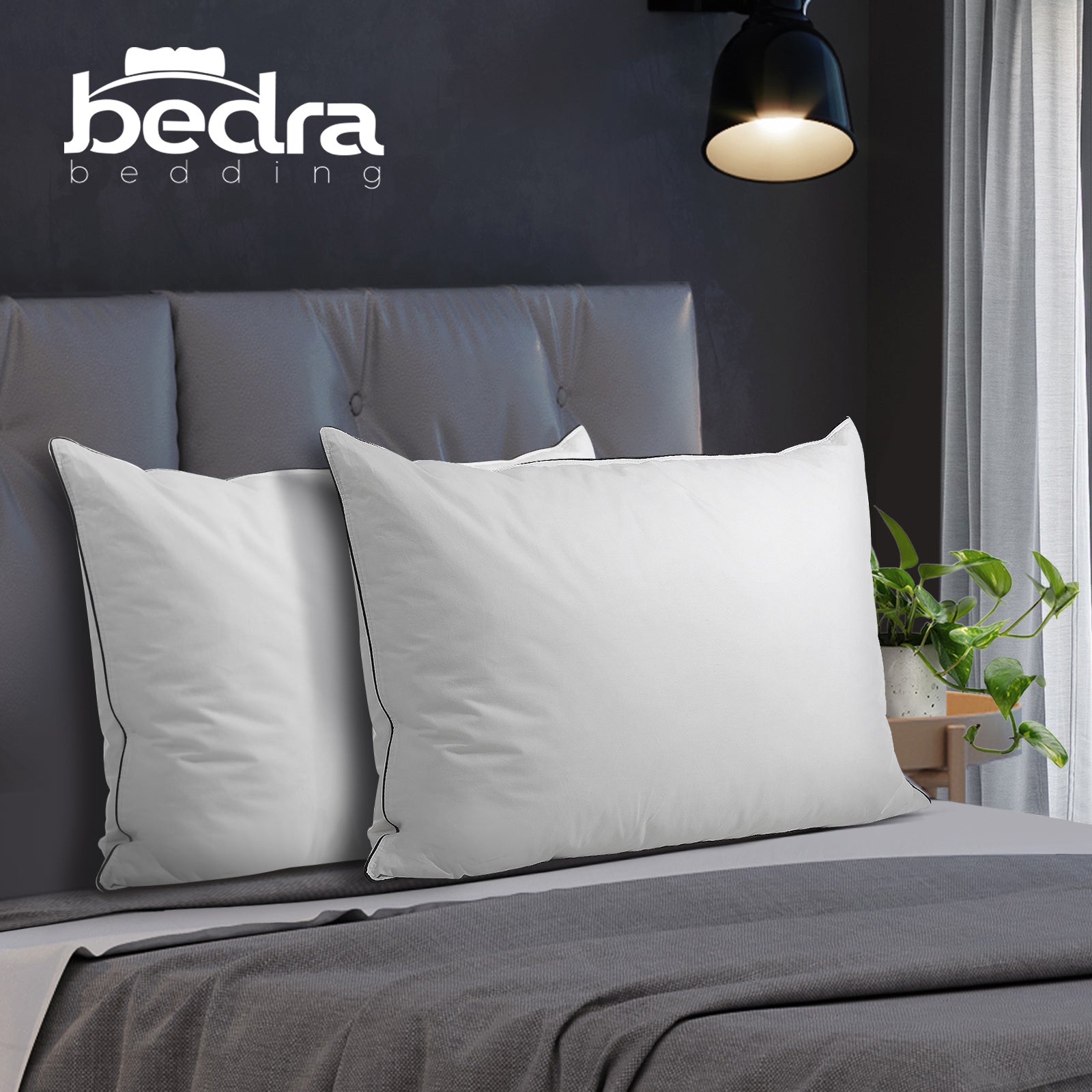 Bedra Pillow Duck Feather Down Standard Pillows Cotton Cover - Twin Pack - Sunyee