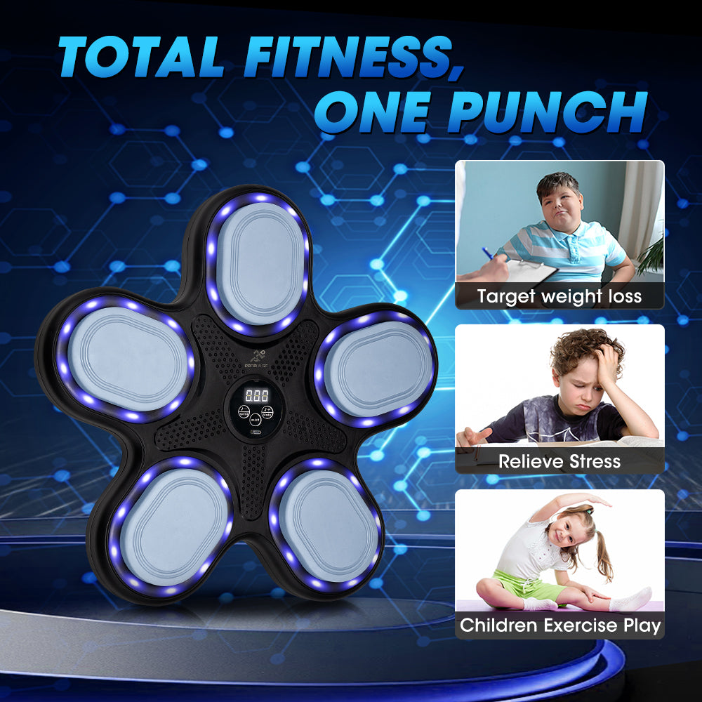 ProPulse Smart Punching Boxing Electronic Music Machine with Box Gloves 9 Speeds - Sunyee