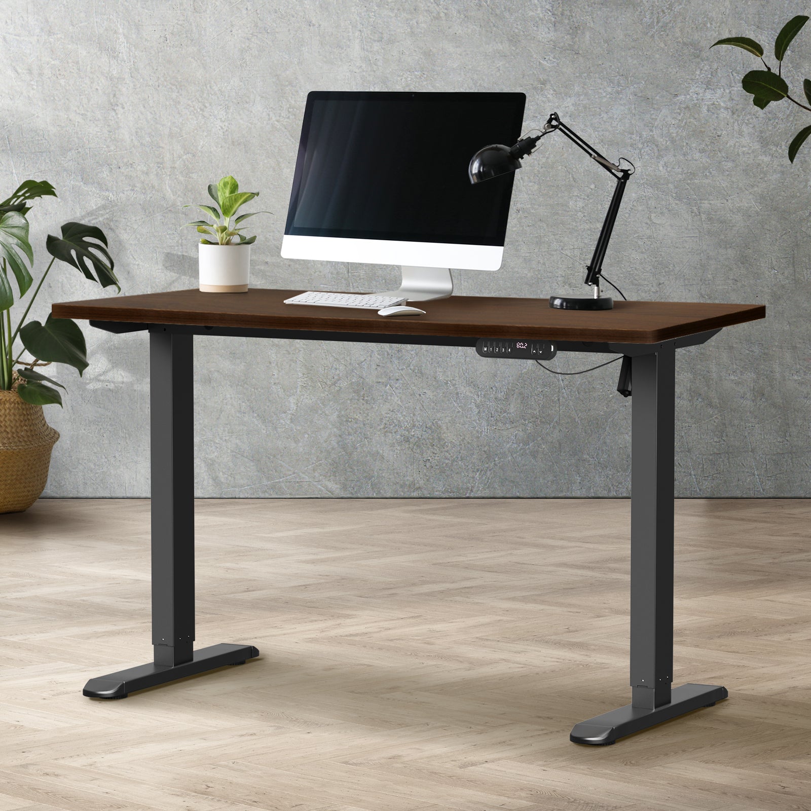 Oikiture Electric Standing Desk Single Motor Black Frame 140CM Tabletop - Sunyee
