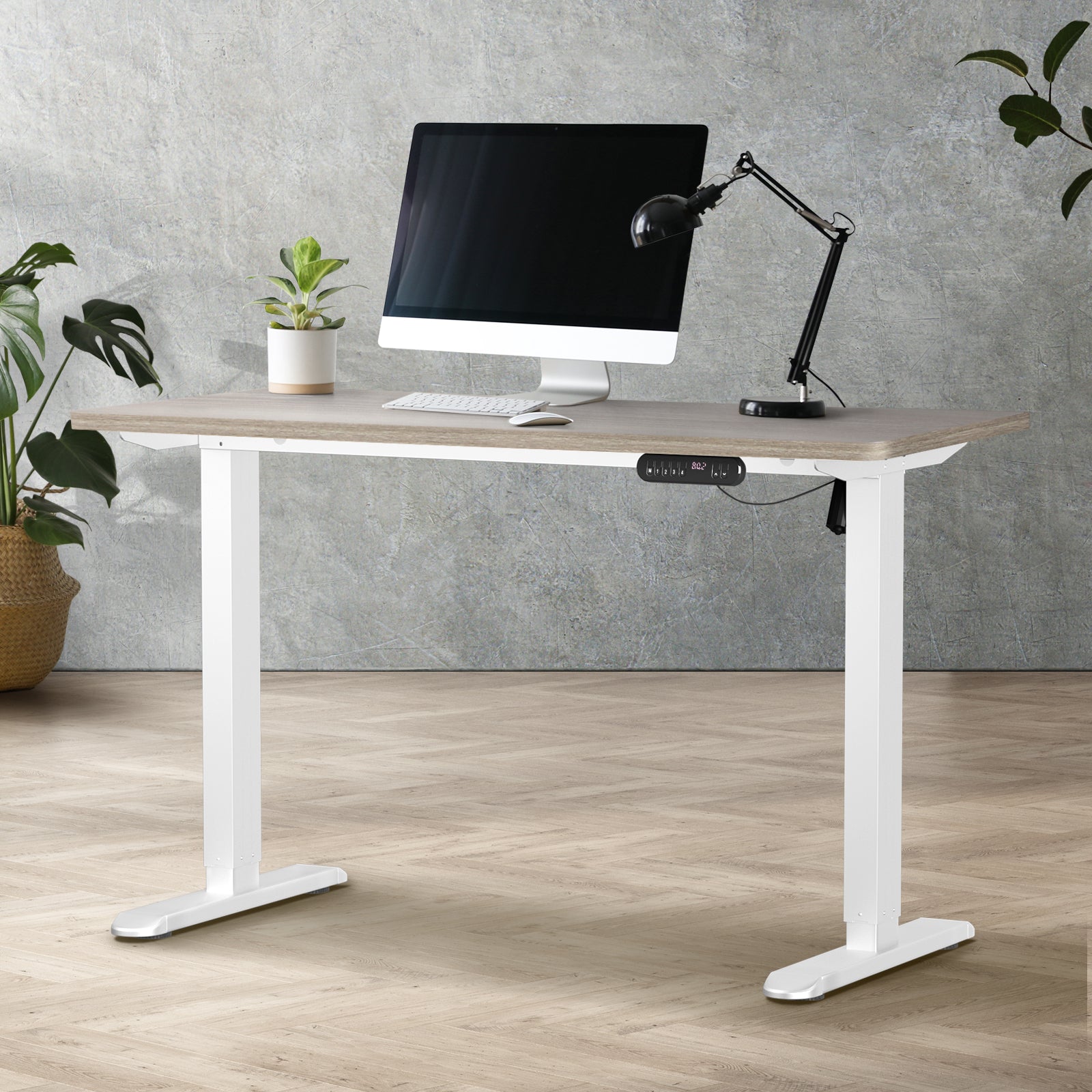Oikiture Electric Standing Desk Single Motor Black Frame 140CM Tabletop - Sunyee