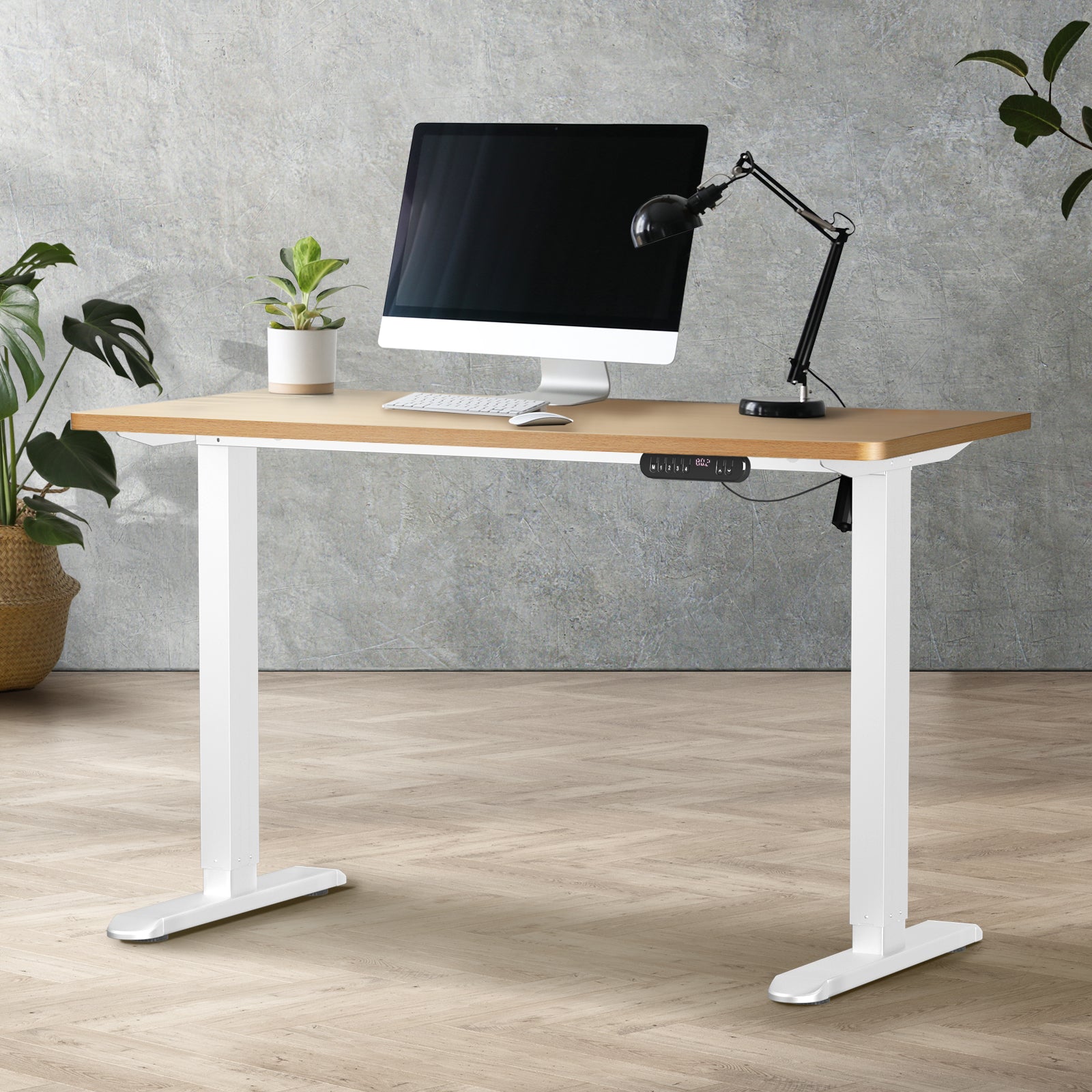 Oikiture Electric Standing Desk Single Motor Black Frame 140CM Tabletop - Sunyee