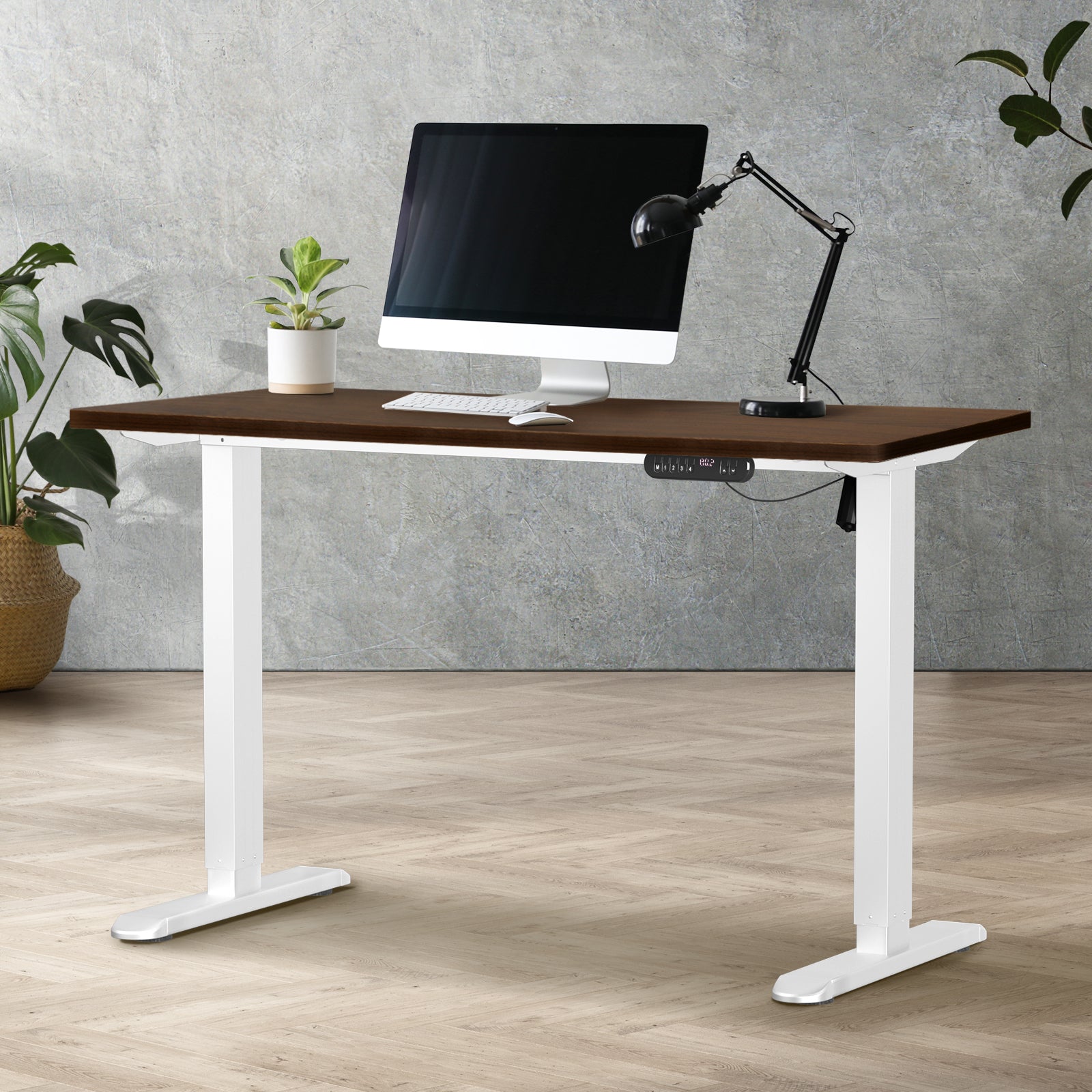 Oikiture Electric Standing Desk Single Motor Black Frame 140CM Tabletop - Sunyee