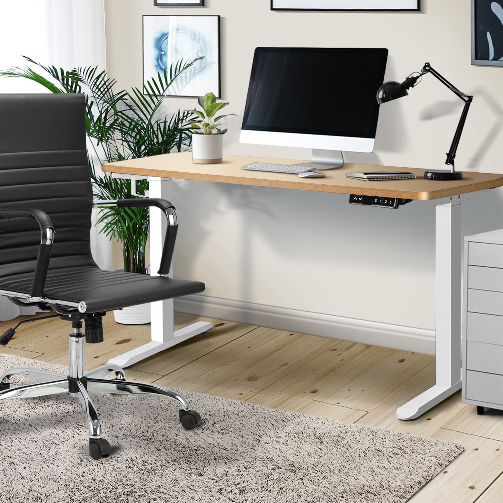 Oikiture Electric Standing Desk Dual/Single Motor 120-160CM 4 Colours - Sunyee