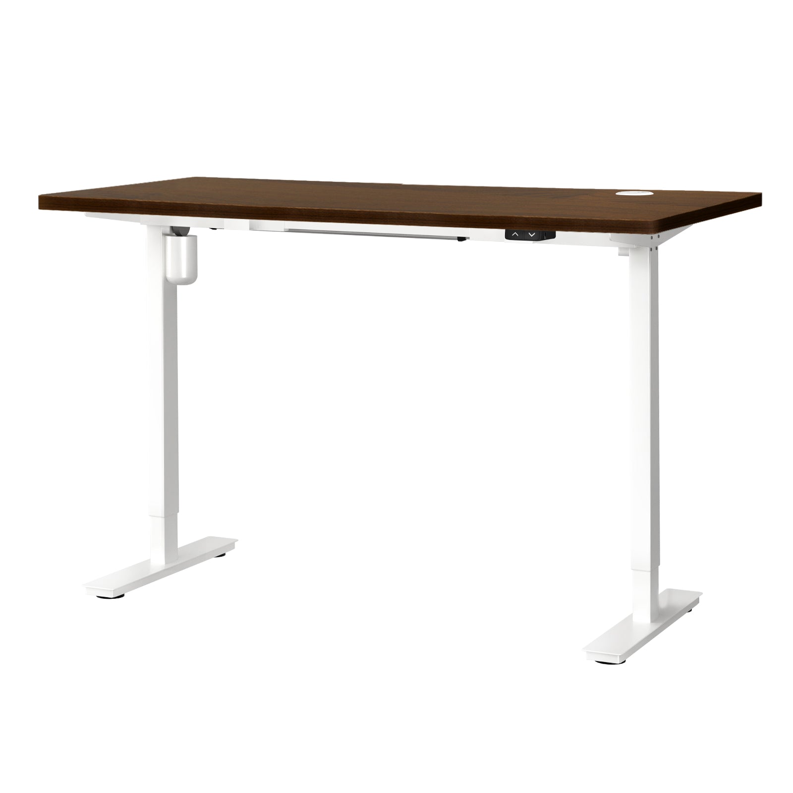 Oikiture Electric Standing Desk Single Motor 120/140/150cm - Sunyee