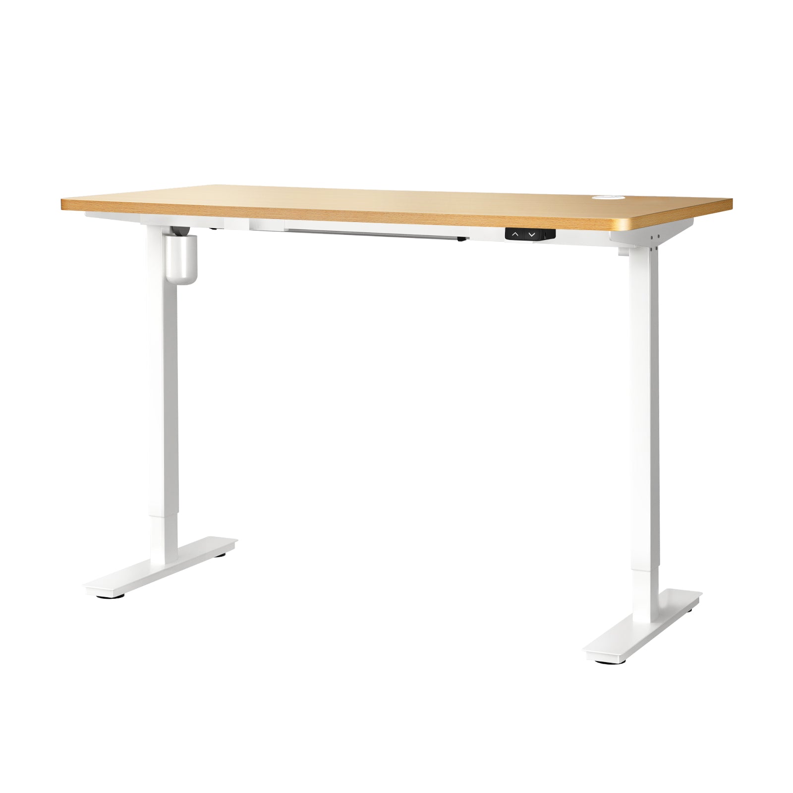 Oikiture Electric Standing Desk Single Motor 120/140/150cm - Sunyee
