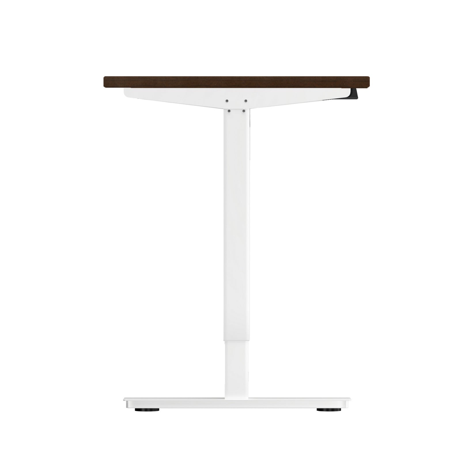 Oikiture Electric Standing Desk Single Motor 120/140/150cm - Sunyee