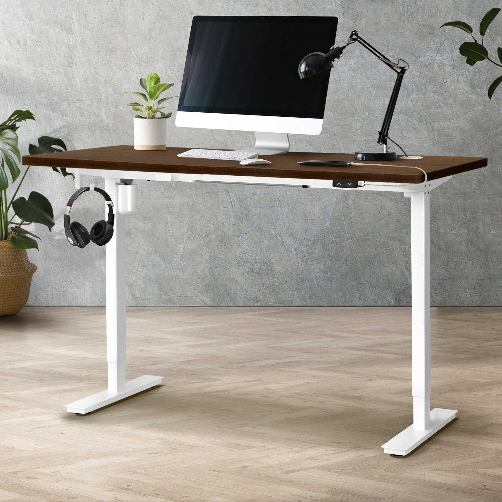 Oikiture Electric Standing Desk Single Motor 120/140/150cm - Sunyee
