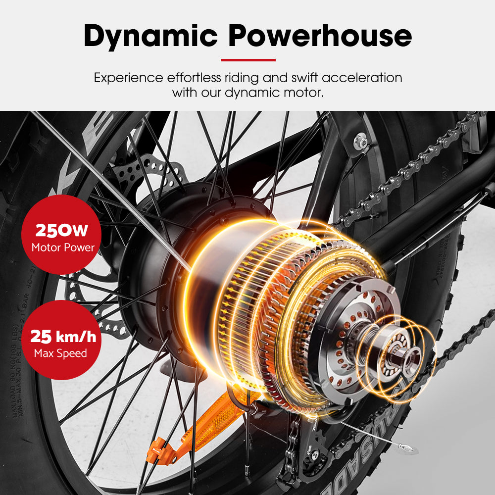 VOR 20 inch Folding Electric Bike 250W Brushless Shimano 7 Speed 4 inch Fat Tires Black - Sunyee