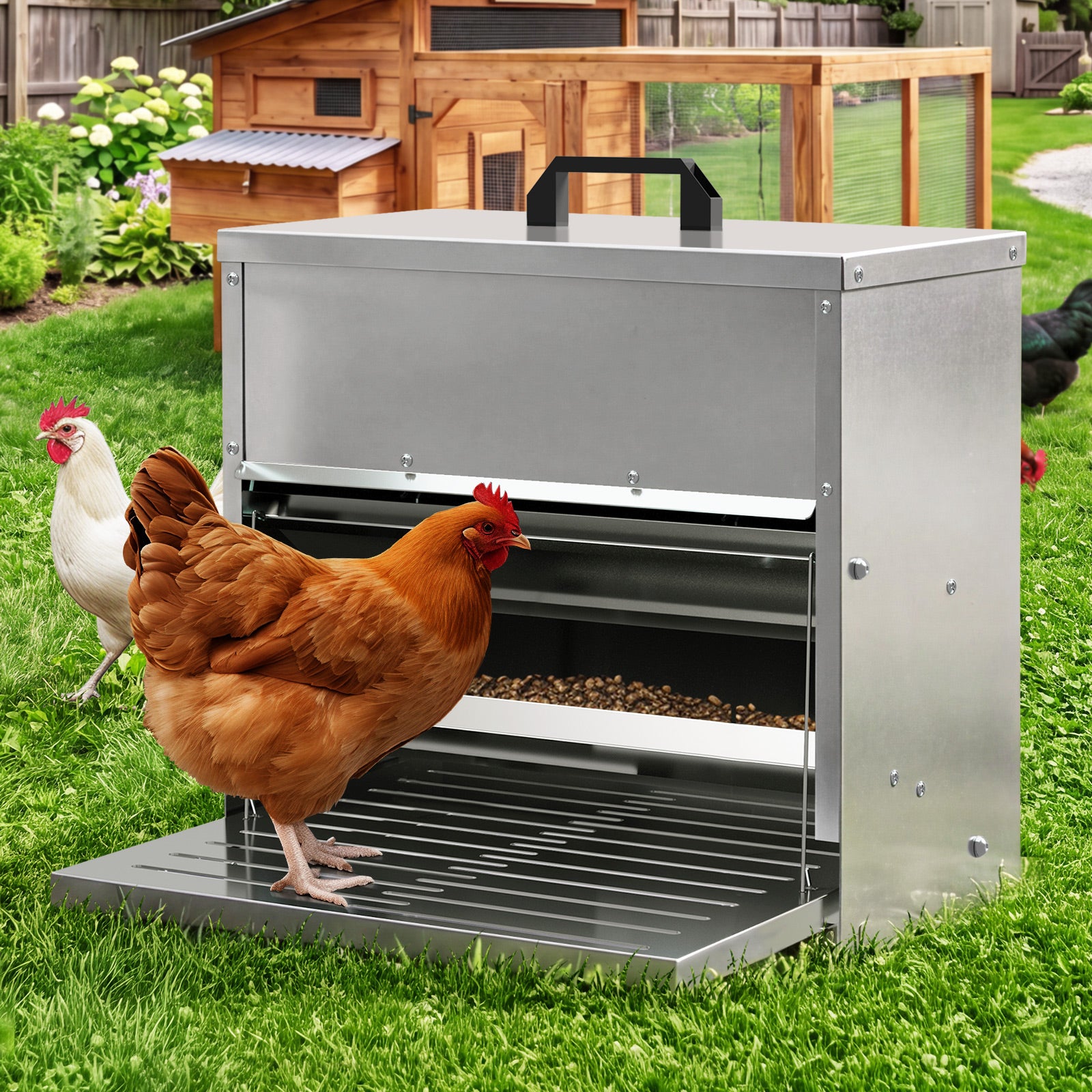 Alopet Automatic Chicken Feeder Auto Coop Chick Treadle Self Opening 10kg