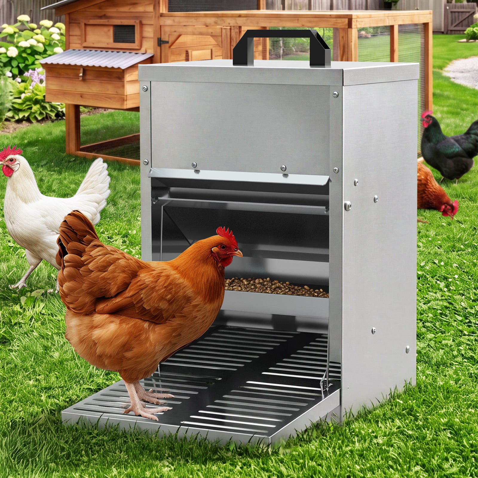 Alopet Automatic Chicken Feeder Auto Coop Chick Treadle Self Opening 5kg