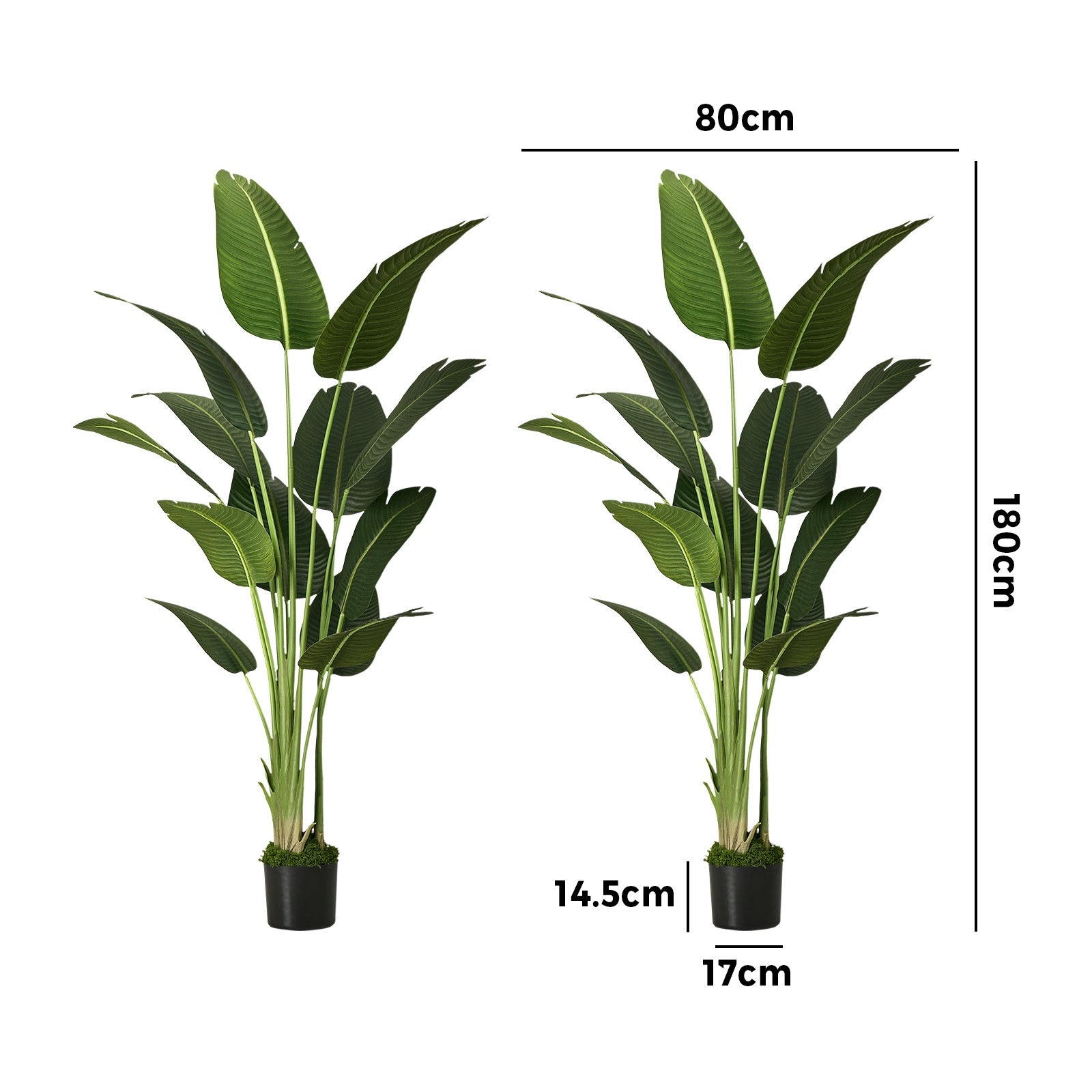 Livsip 2 Pack Artificial Bird of Paradise Plant 180cm Fake Palm Tree Home Decor