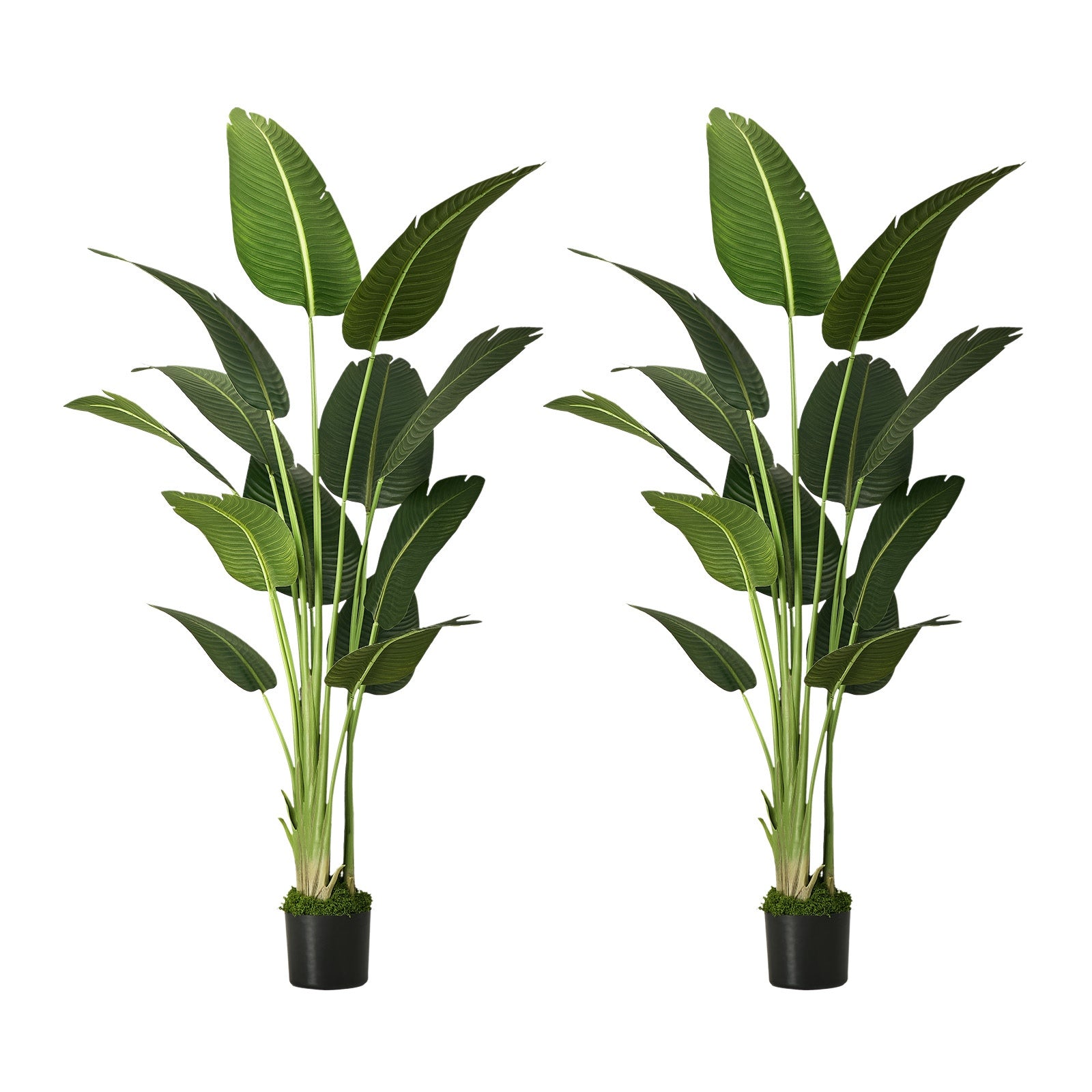 Livsip 2 Pack Artificial Bird of Paradise Plant 180cm Fake Palm Tree Home Decor