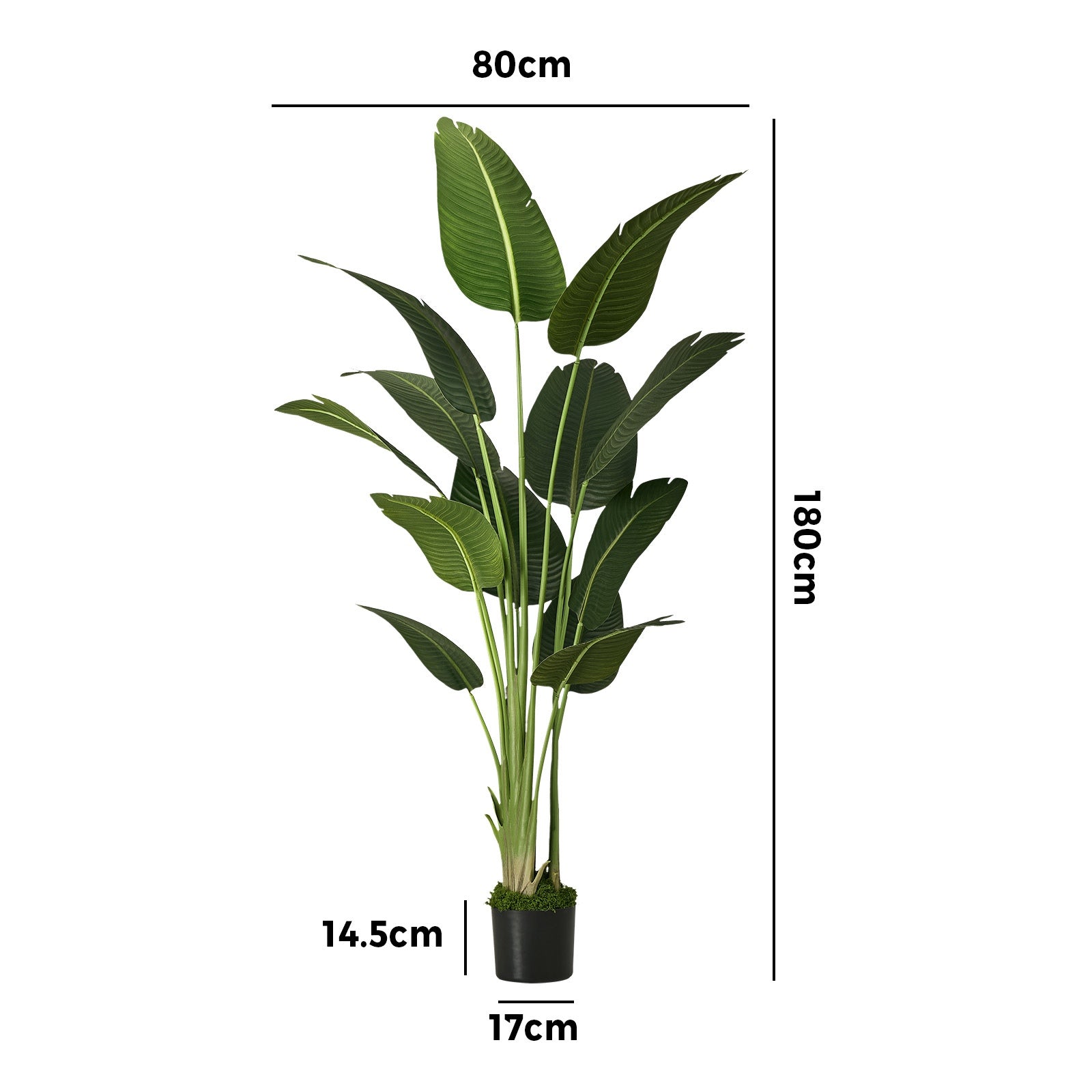 Livsip 180cm Artificial Bird of Paradise Plant Fake Palm Tree Home Garden Decor