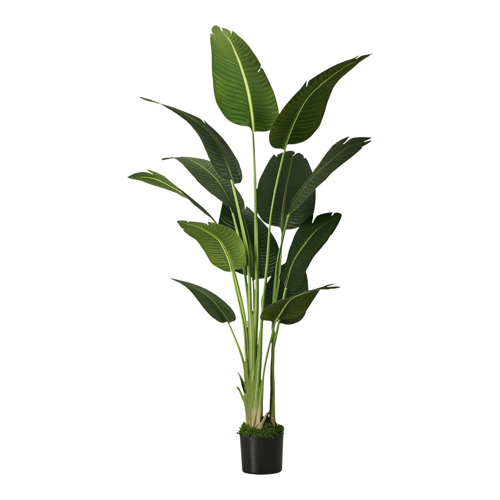 Livsip 180cm Artificial Bird of Paradise Plant Fake Palm Tree Home Garden Decor