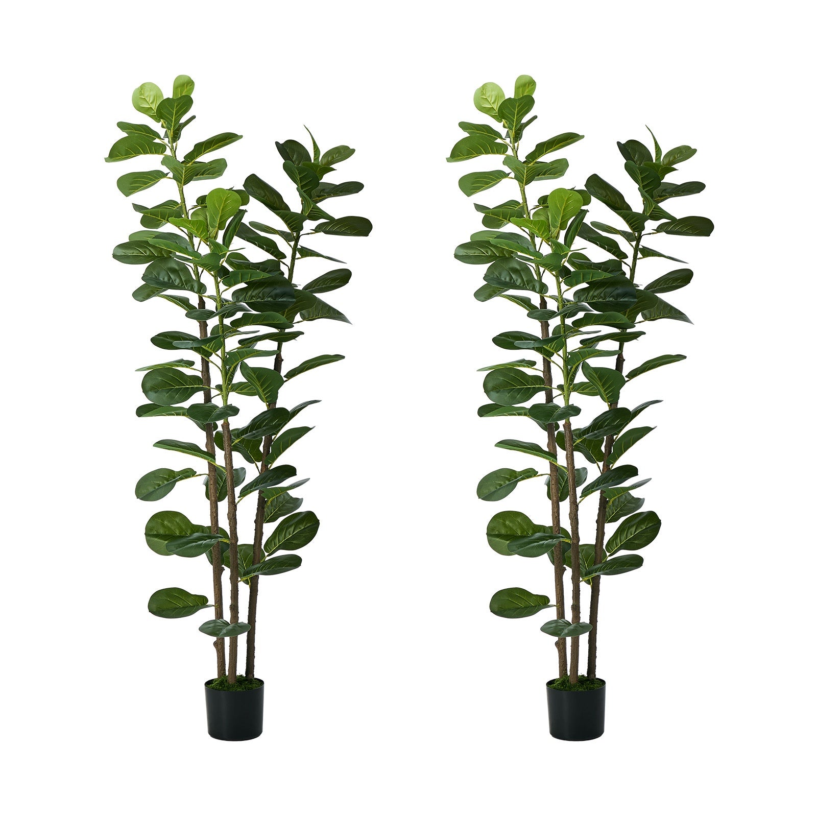 Livsip 2PCS Artificial Fiddle Leaf Fig Tree 180cm Lifelike Faux Potted Plants