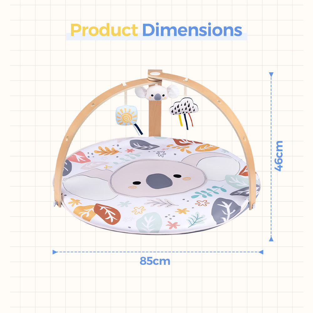 PlayPals Baby Gym Tummy Time Activity Mat with 3 Detachable Toys & Play Piano