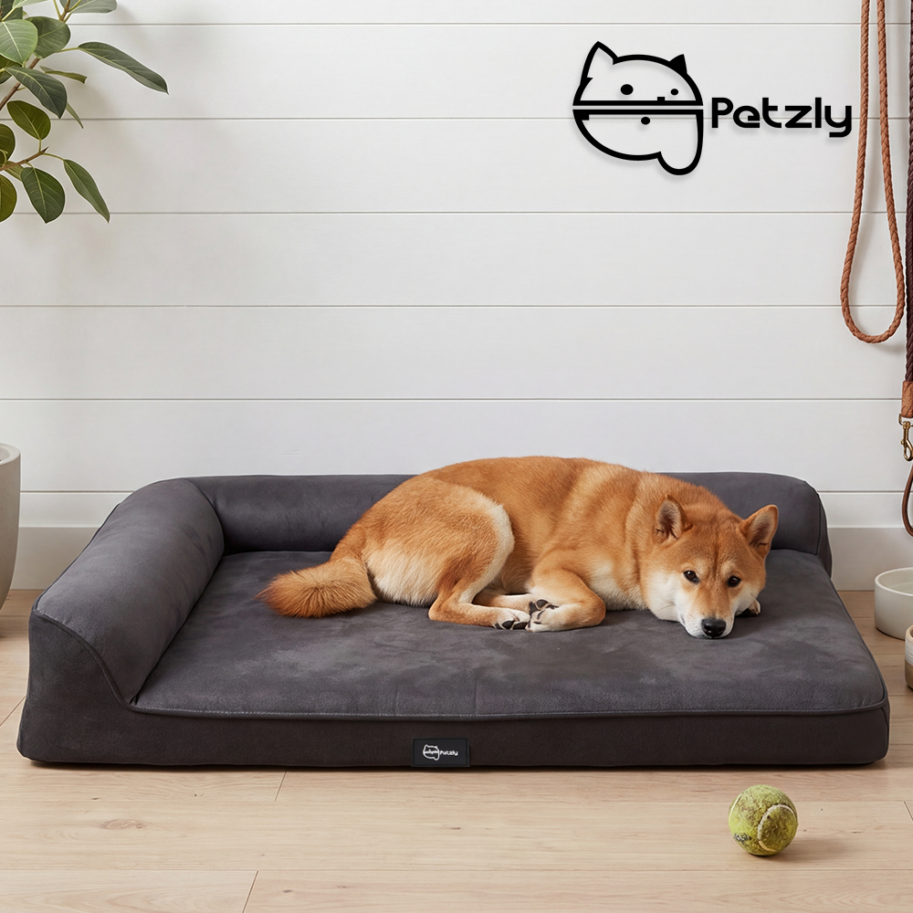 Petzly Dog Bed with L-Shaped Bolsters Removable Washable Cover Memory Foam