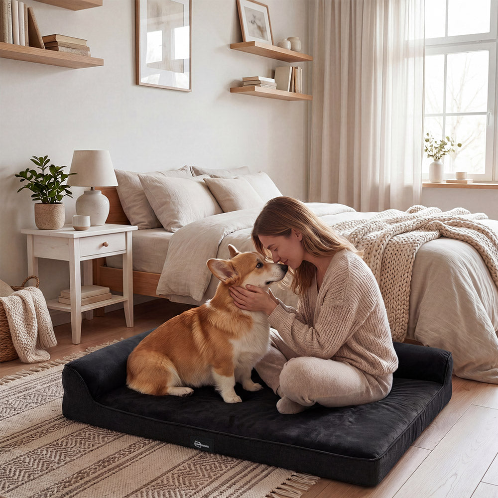 Petzly Dog Bed with L-Shaped Bolsters Removable Washable Cover Memory Foam