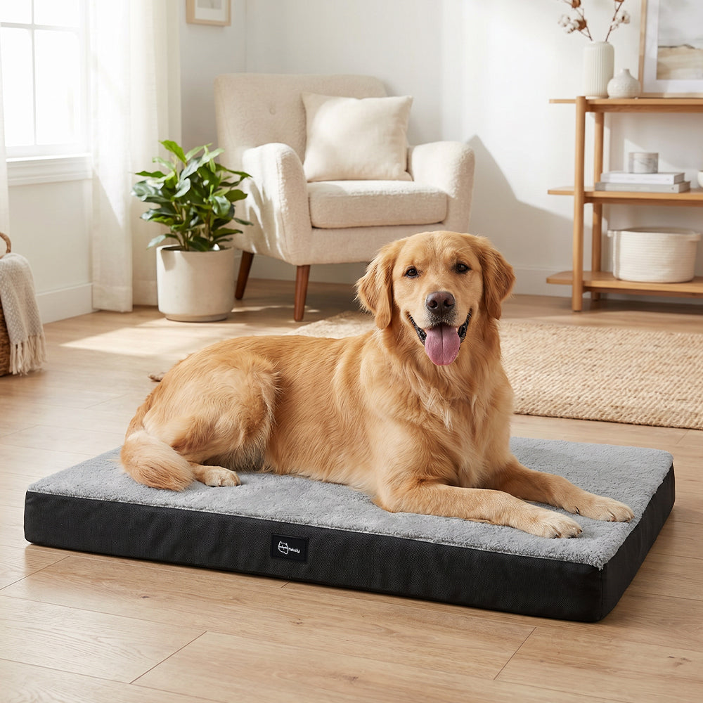 Petzly Dog Bed Mat for Pet Machine Washable Cover Waterproof Liner