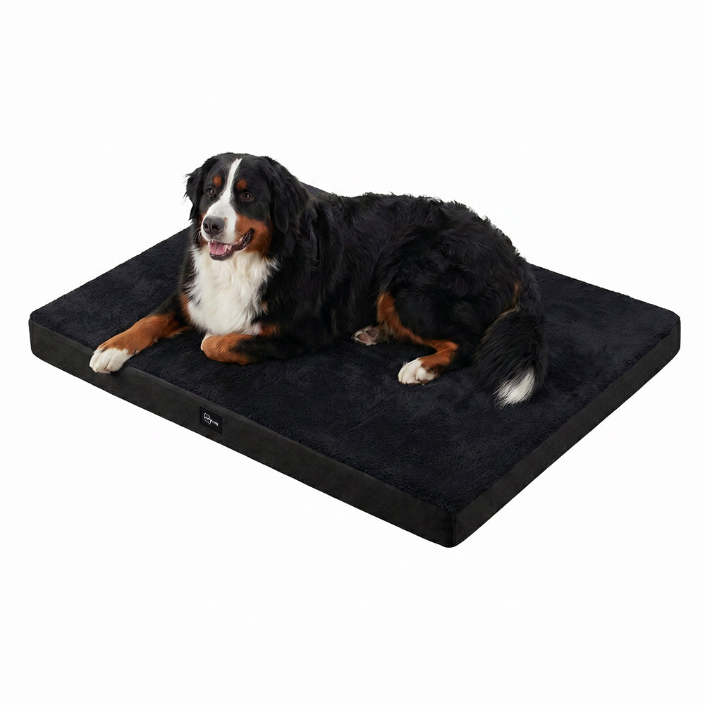 Petzly Dog Bed Mat Built-In Handle Machine Washable Cover For Pet
