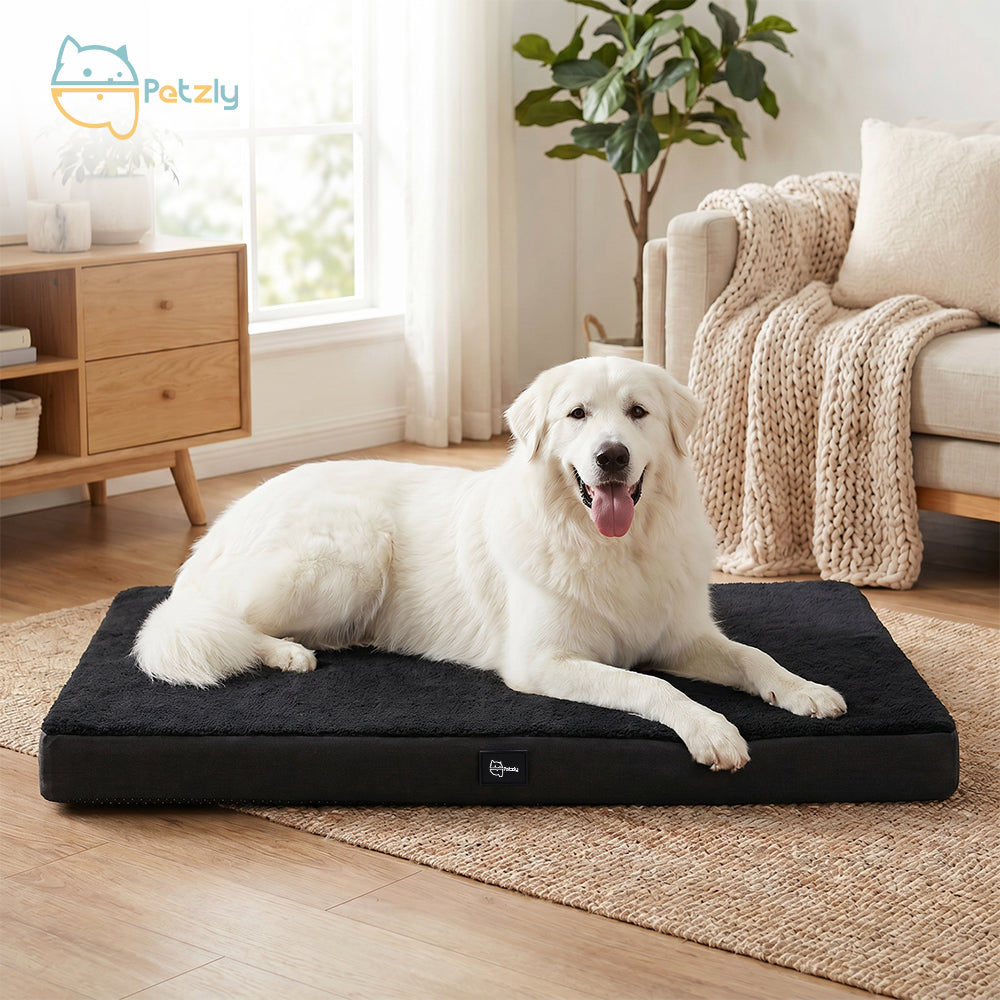 Petzly Dog Bed Mat Built-In Handle Machine Washable Cover For Pet