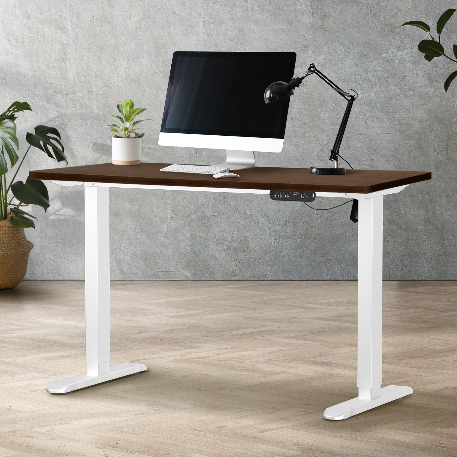 Oikiture 120CM Electric Standing Desk Single Motor Frame with Tabletop 3 Colour - Sunyee